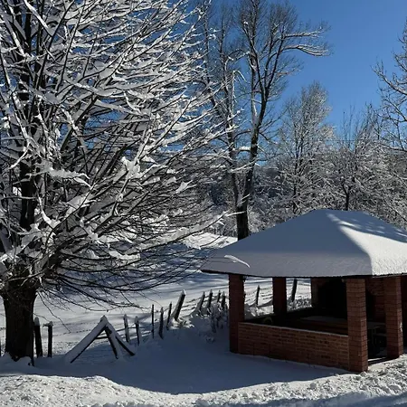 Ferienhaus Vikendica Brvnara Marcetic *